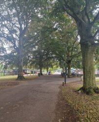 4.Avenue facing NW